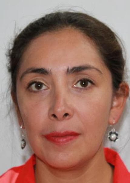 Cerna Merino Sandra Karina