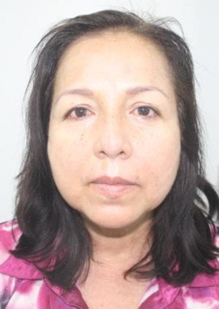 Castañadui Hernandez Carol del Carmen