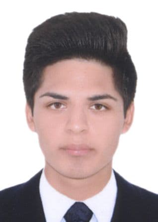 Balarezo Suarez Roberto Carlos