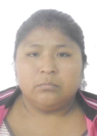 Capcha Yanque Sandra Carmen