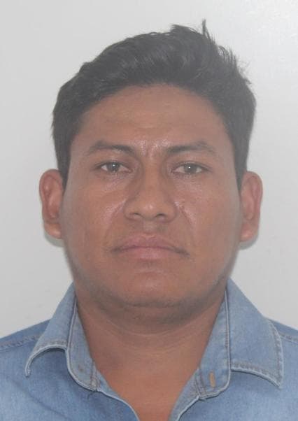 Mendoza Llaja Mariano