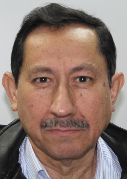 Buchelli Perales Gulliver Oliver