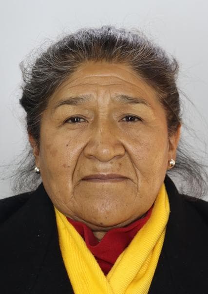 Llanqui Flores Basilia