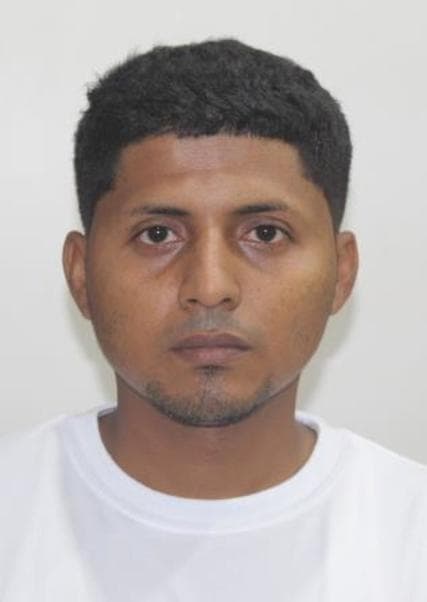 Hidalgo Saavedra Alexander