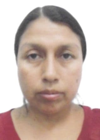 Ferro Fuentes Carmen Alcira