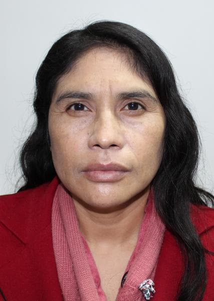 Castillejo Pari Delfina Tarcila