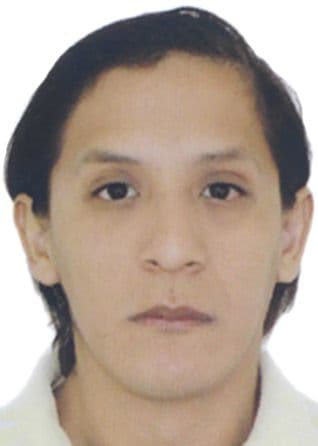 Lopez Chahua David Alex