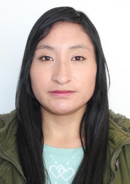 Chavez Andrade Mayor Mayori