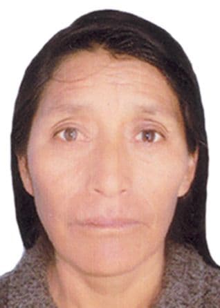 Quispealaya Cerron Dominica