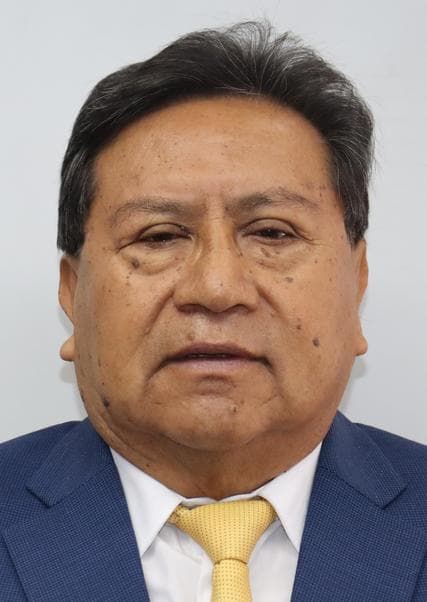 Palomino Garcia Milla Marcial Alcibiades