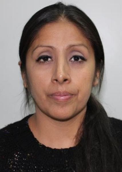 Acevedo Albitres Lady Carol