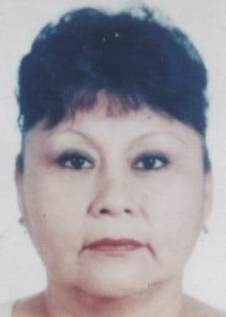 Higa Peralta Vda de Meza Victoria Janako