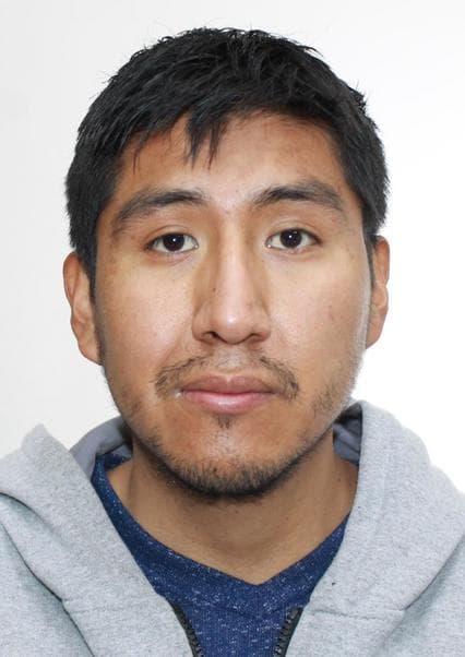 Arce Alcocer Francisco Ernesto