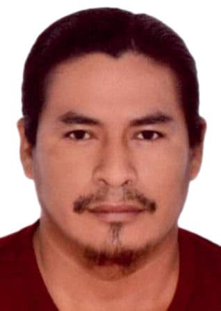 Tarrillo Saldaña Manuel