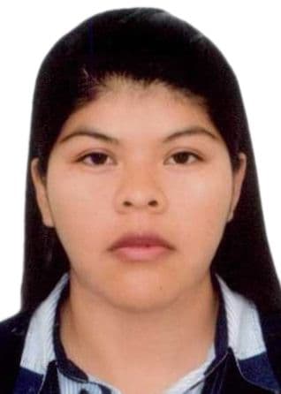 Mamani Delgado Almendra Luz