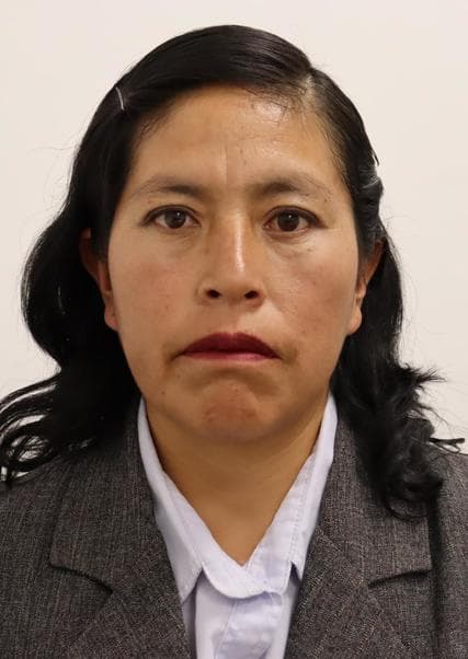 Mamani Ccollana Serly