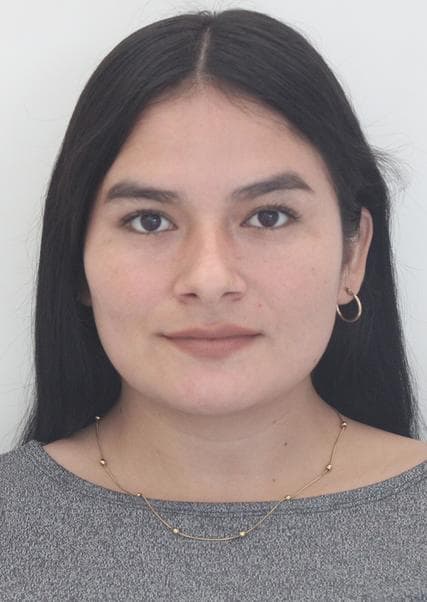 Collantes Livaque Morelia Noemi