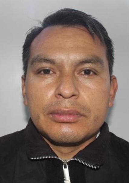 Palomino Pillaca Hernan