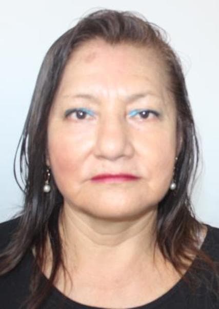 Pilco Pinedo Castula