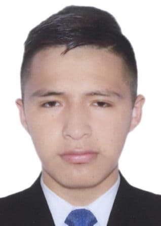 Limaco Quispe Arnold Bruce