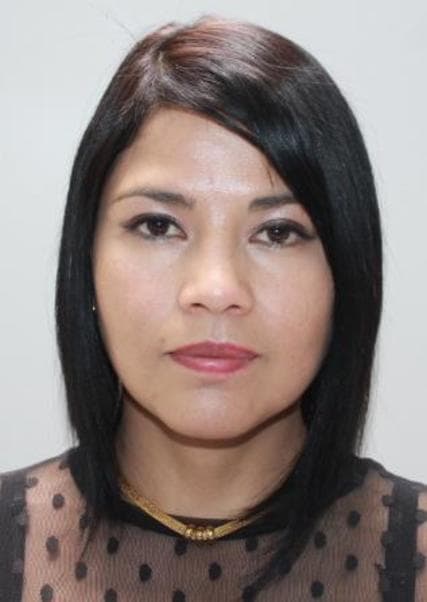 Villavicencio Lizarraga Carol Lita