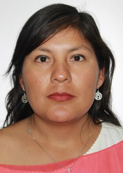 Mamani Alave Fabiola Candi