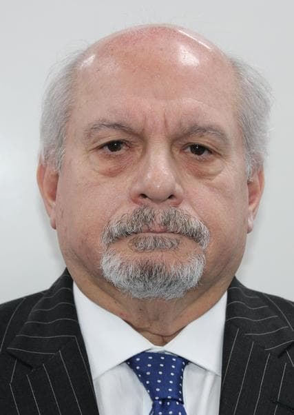 Cateriano Bellido Pedro Alvaro