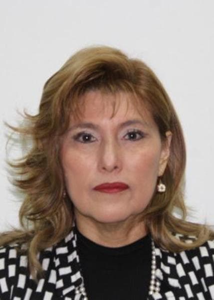 Manrique Mansilla Gianinna Cristina