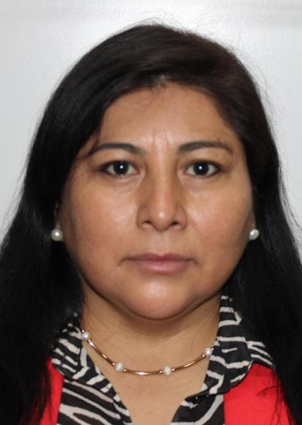 Quispe Principe Susana Reyna