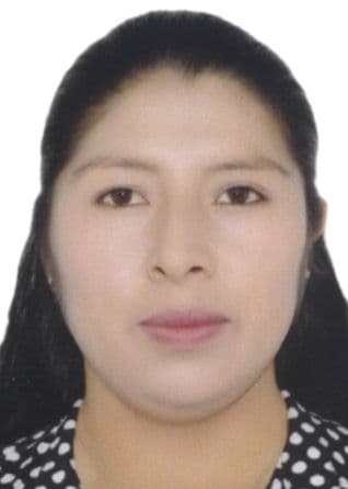 Carhuas Damiano Yanit