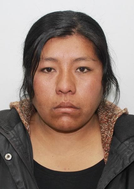 Huanca Apaza Diana Marisol