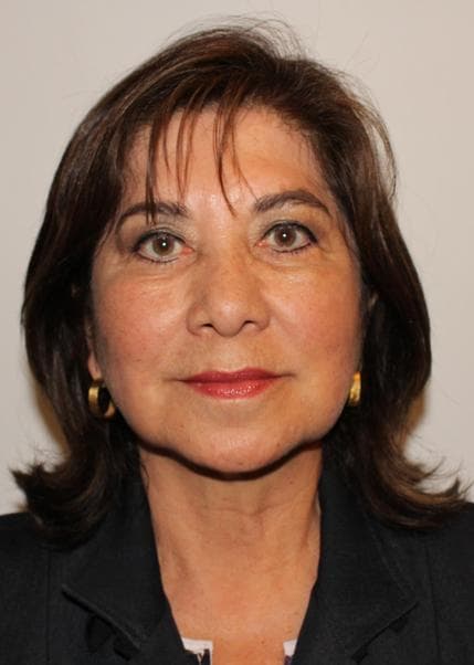 Chavez Cossio Martha Gladys