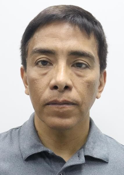 Vieira Portugal Roberto Gamaniel