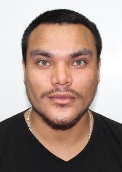 Sanes Sanes Hugo Jesus