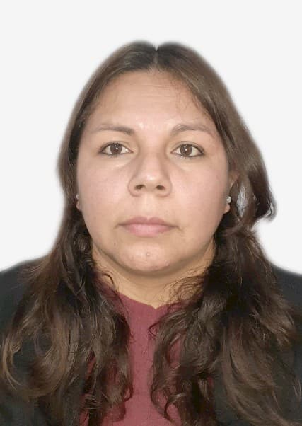 Castillo Terrones Irma