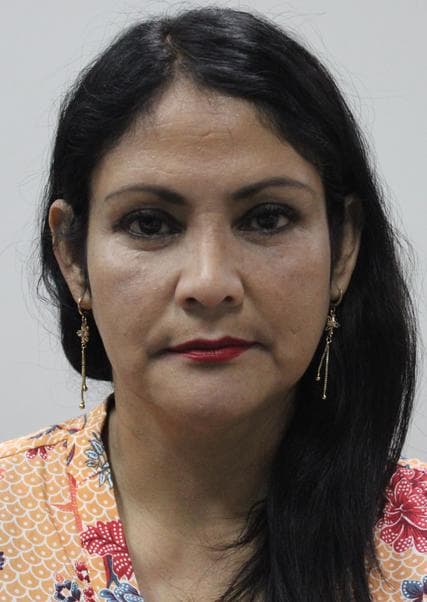 Pinedo Achaca Liliana Angelica