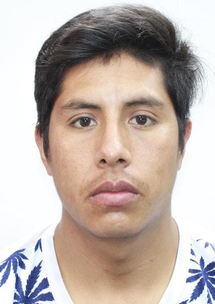 Berrios Figueroa Danny Yelsen