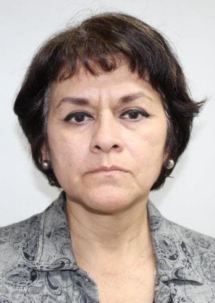 Fernandez Vilca Julia Yeny