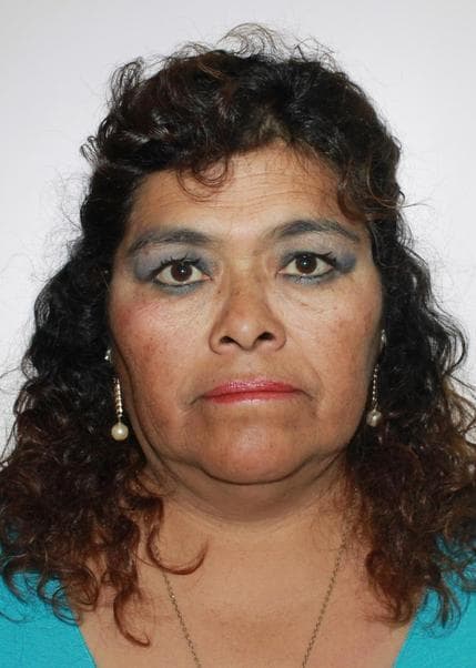 Morales Valdivia Teresa