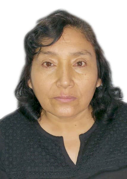 Gonzales Arce Gladys Julia
