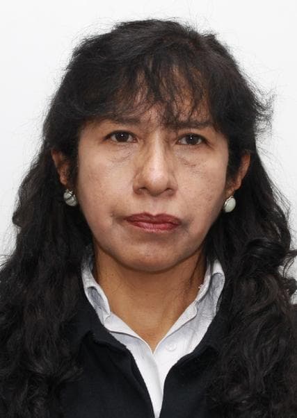 Chuctaya Zavaleta Kelma