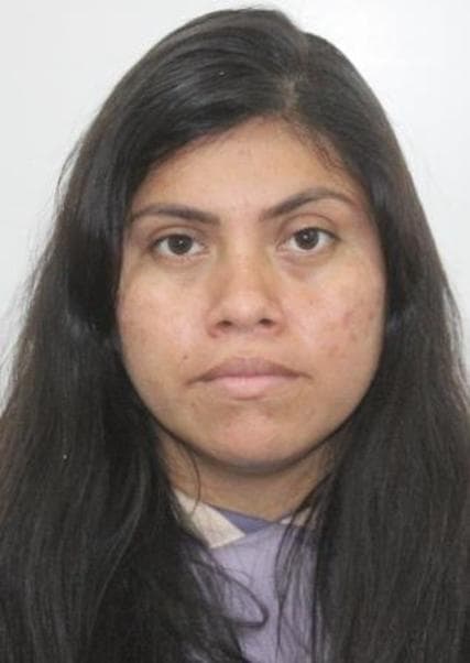 Herrera Pintado Gaby