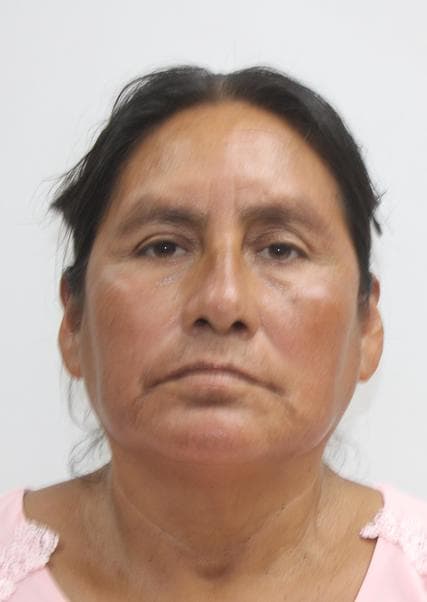 Panqui Melgarejo Haydee Hermelinda