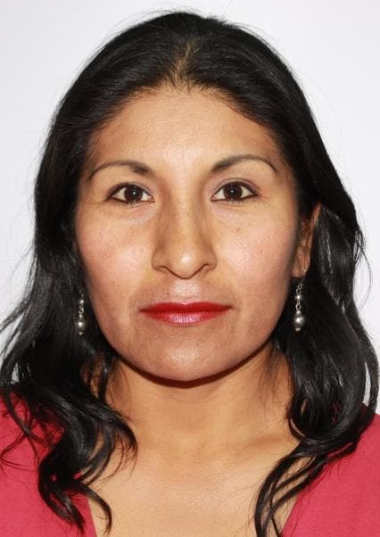 Correa Choque Agripina