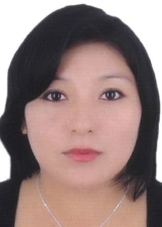 Llanos Mamani Ana Maria