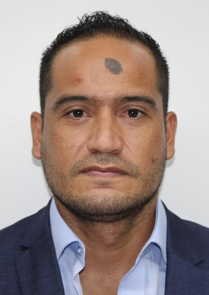 Vejarano Briceño Victor Manuel Alejandro