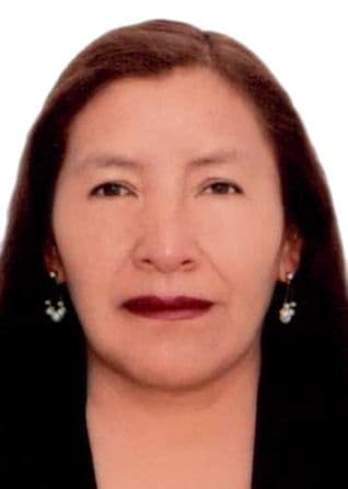 Hancco Hancco Dina Irene