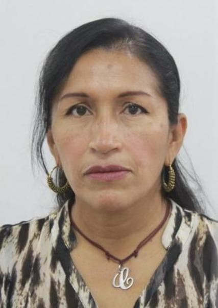 Pizarro Febres Carmen del Pilar