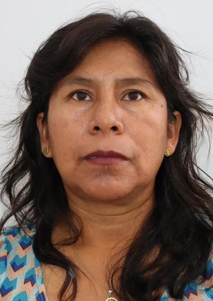 Carbajal Mamanchura Gladys Carolina